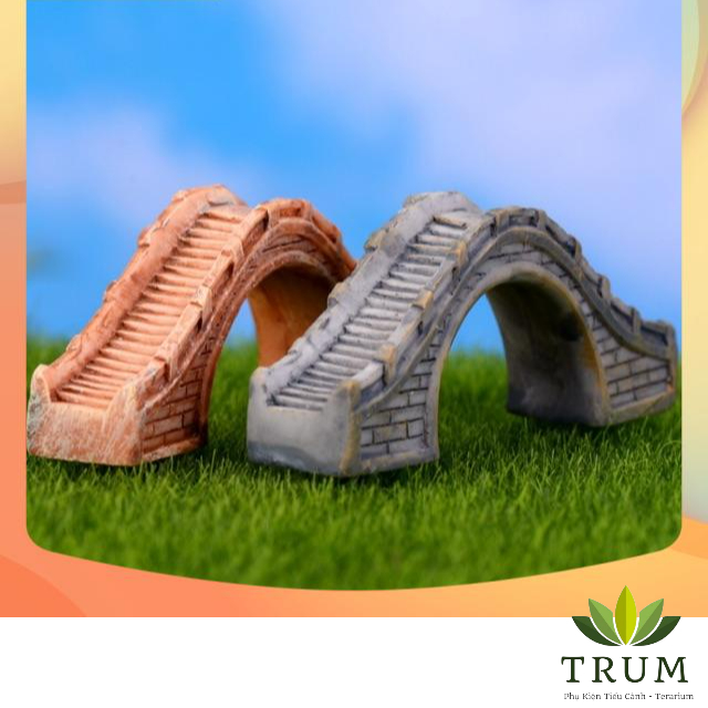Cầu Vồm Giang Nam Lớn - phụ kiện trang trí tiểu cảnh sen đá - Terrarium , Thủy sinh , Non bộ