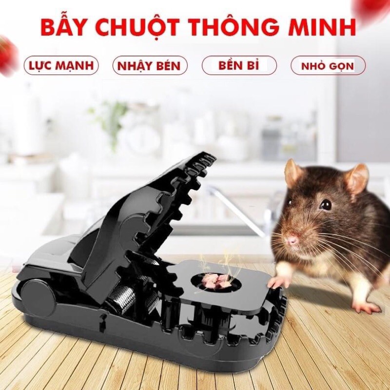 Bẫy chuột Thông minh