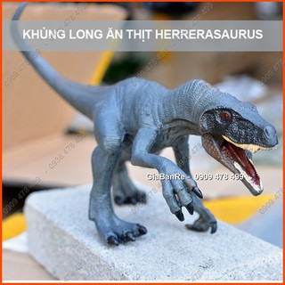 Mô Hình Khủng Long Ăn Thịt Herrerasaurus - 7712 2