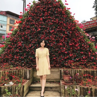 Váy thô kẻ cổ V up kèm ảnh thật