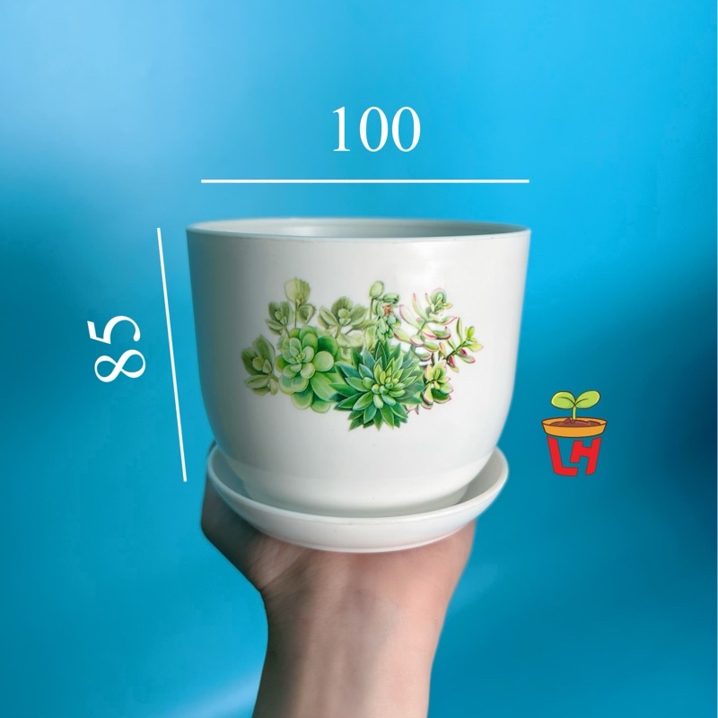 Chậu nhựa mini trồng sen đá , chậu nhựa mini, để bàn cao cấp dày dặn