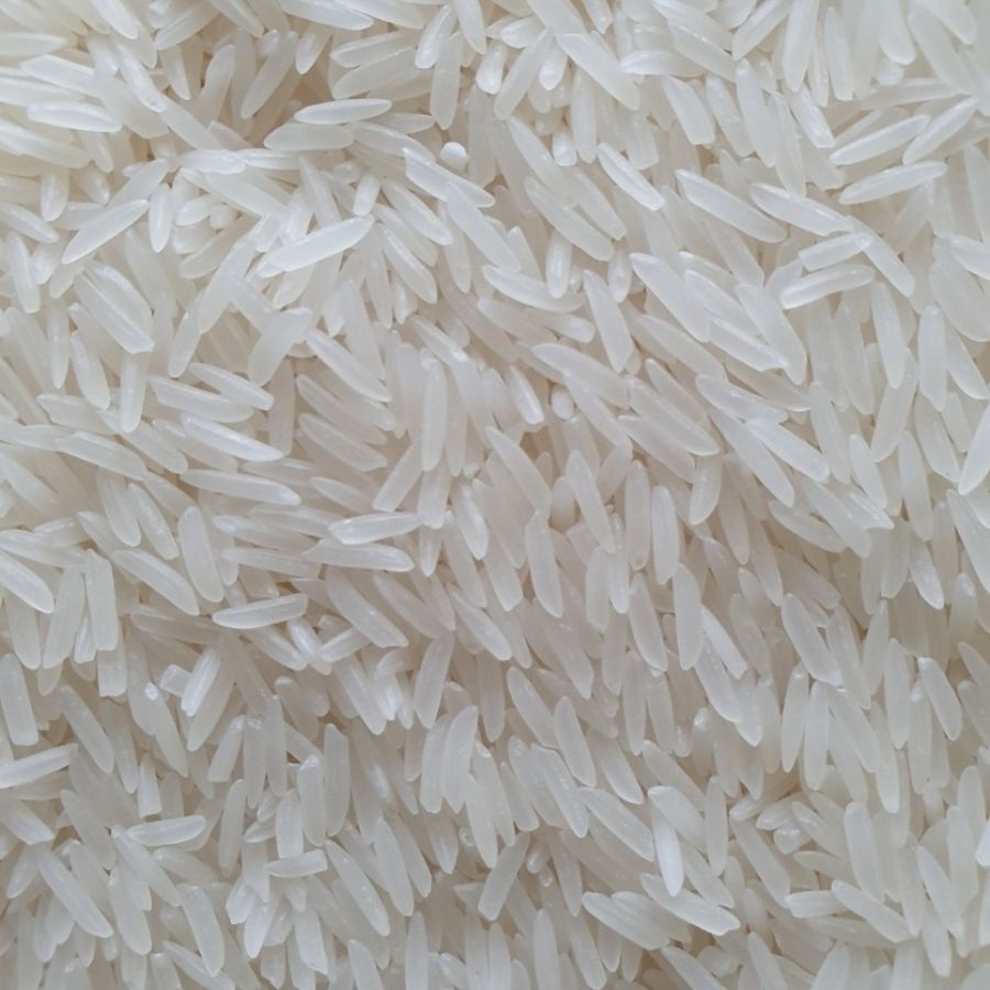 Combo 5kg Gạo ST25 - Gạo Thơm ST25 Ngon Nhất Thế Giới