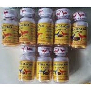 Thuốc gà đá Xtra Macko Nhộng vàng tăng bo sắc xảo lỳ đòn