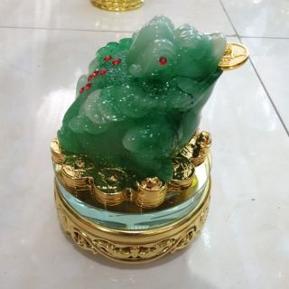 Cóc thiềm thừ màu xanh