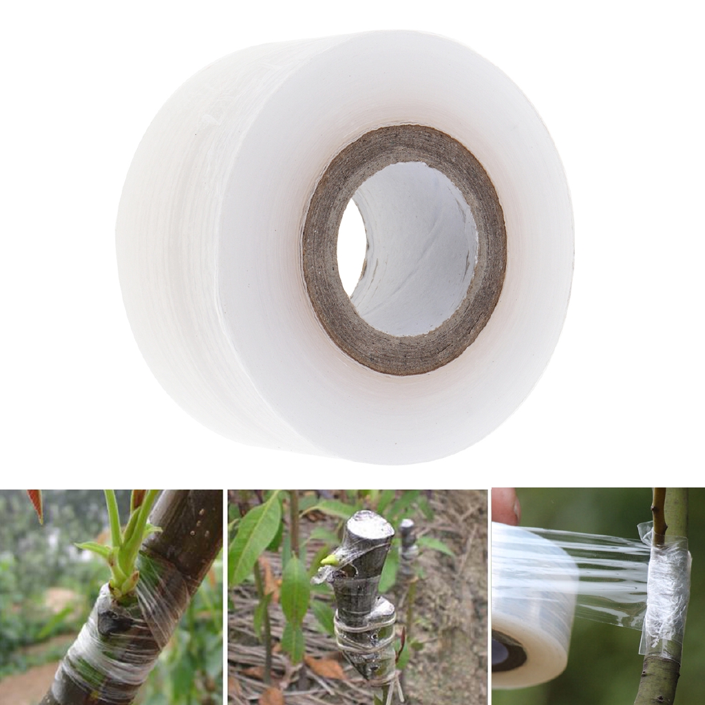 Băng keo ghép cành cây ( 3cm )
