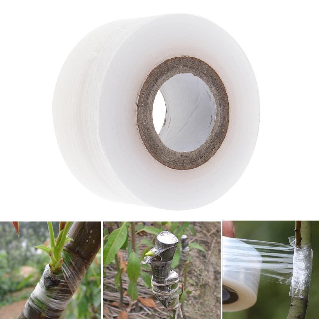Băng keo ghép cành cây ( 3cm )