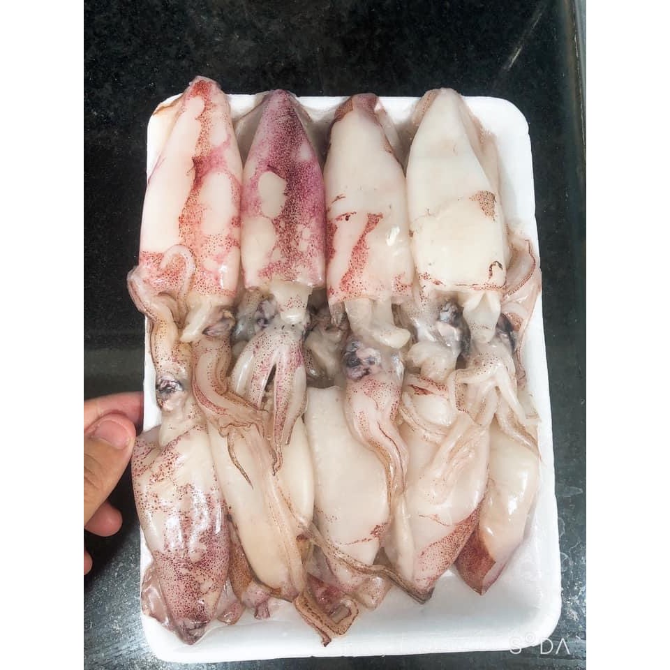 Mực chã tươi loại nhỏ khay 500g