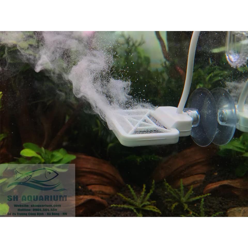 Thiết bị ức chế rêu hại Chihiros Doctor Mate