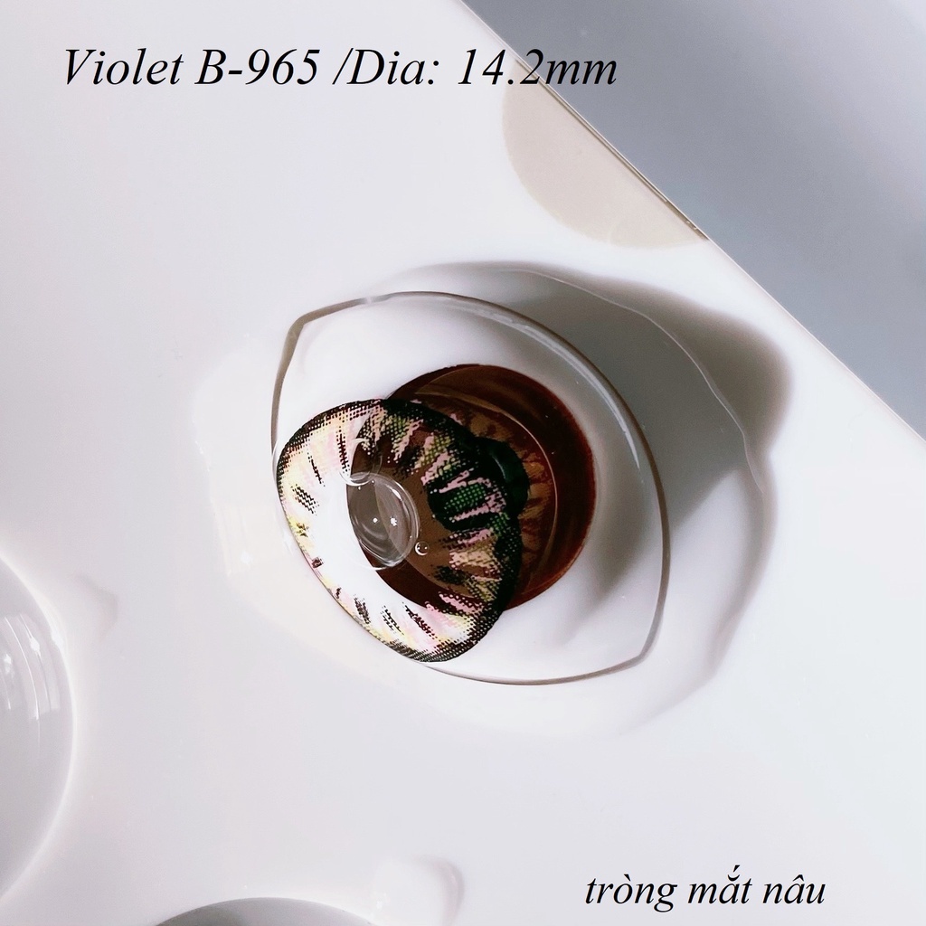 Lens Violet B-965 [EXP 9/2023] (kính áp tròng Sona Hàn Quốc)