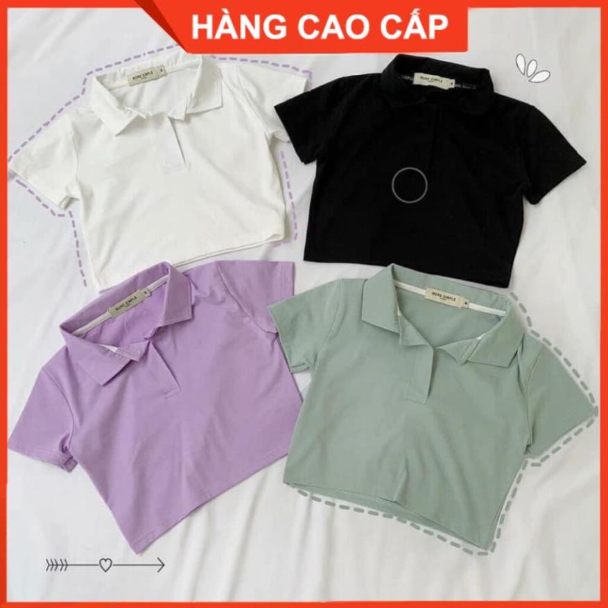 Áo Croptop Cổ Trụ PLO Tay Ngắn Dáng Ôm Ulzzang, Áo Croptop Có Cổ - [HÀNG CAO CẤP] | BigBuy360 - bigbuy360.vn