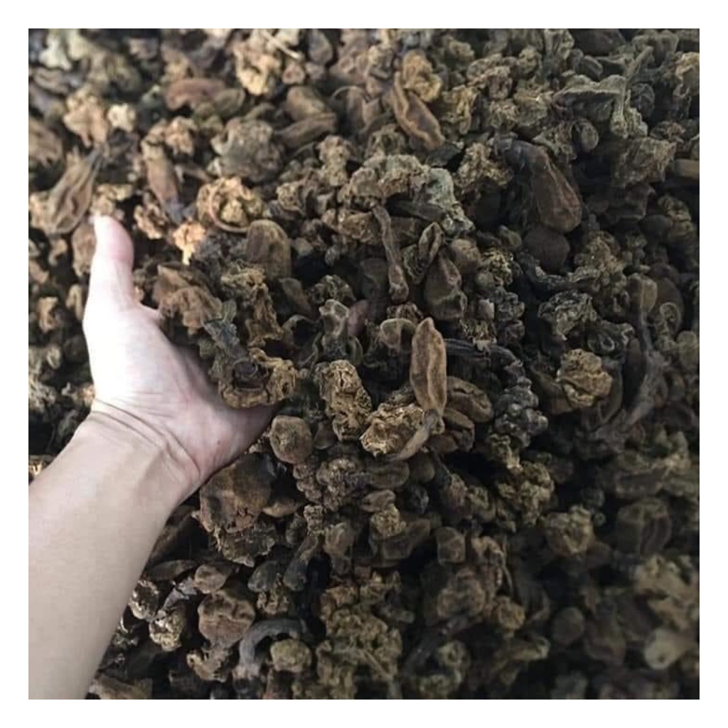 Nấm Ngọc Cẩu ( Nấm Toả Dương ) Khô Loại 1 Nguyên Búp, Khô Thơm Giúp Tăng Cường Sức Khoẻ, Bổ Thận tráng Dương Túi 1Kg | BigBuy360 - bigbuy360.vn