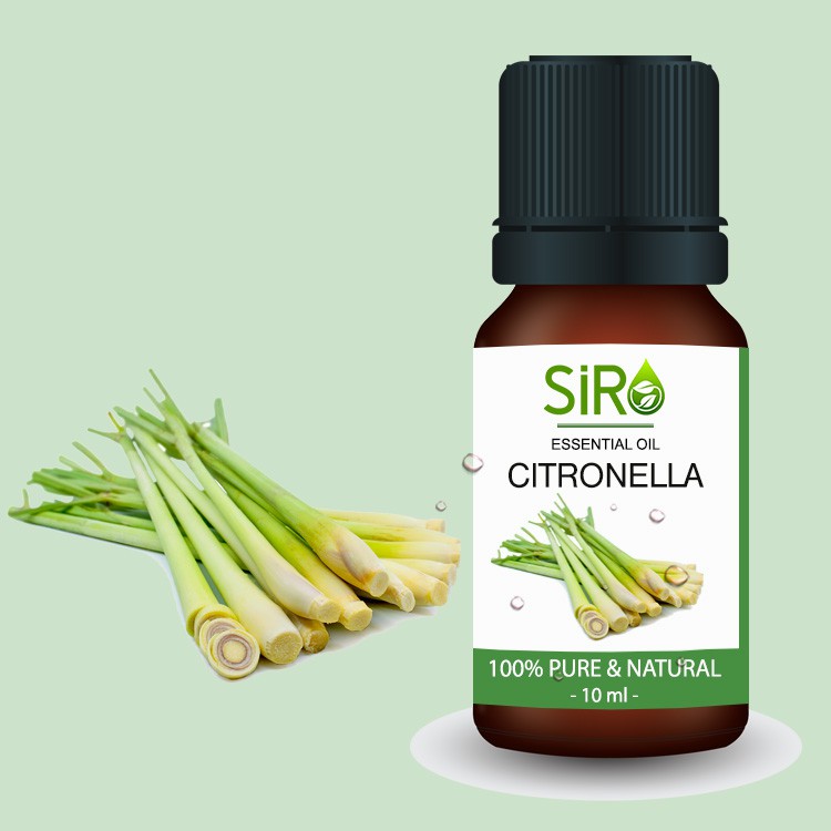 TINH DẦU SẢ JAVA CITRONELLA
