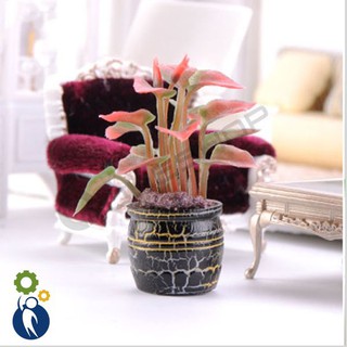 Chậu Kiểng Lớn, Mô hình mini trang trí