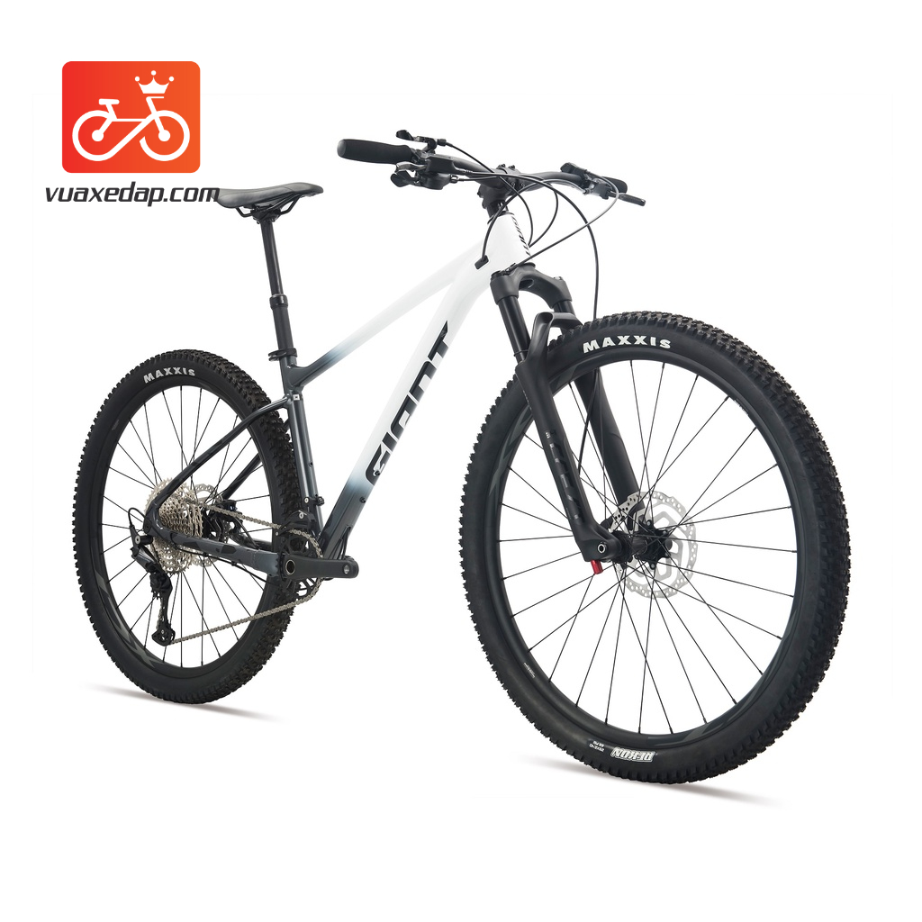 XE ĐẠP ĐỊA HÌNH GIANT XTC 29 1 2022