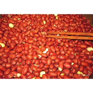 1 ký đậu phộng rang muối lạt