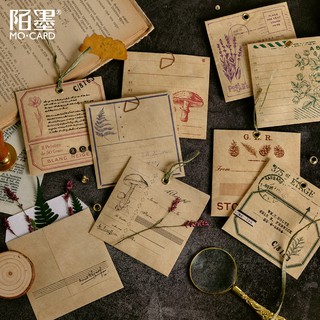 (K024) Set phong bì thư vintage MoCard x10 cái