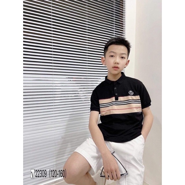 Áo polo bé trai cho bé 4/5 đến 12/13 y hàng QCcc chuẩn đẹp