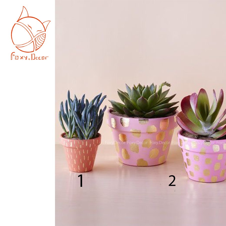 [🌵Decor nhà🌵] Chậu đất nung Gold in Area phối các gam màu ngọt ngào lấp lánh - Hàng thiết kế