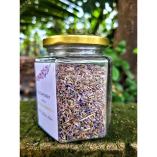 trà hoa lavender_tĩnh trà