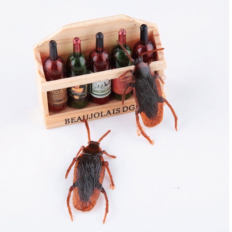 Con Gián Giả Đồ Chơi Cho Chó Mèo, Chơi Khăm, mô hình