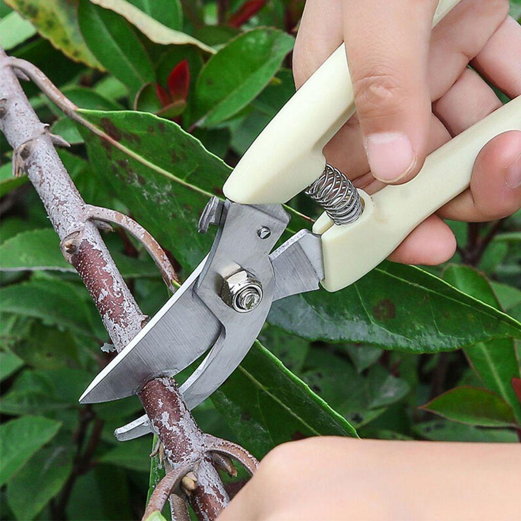 Kéo Thẳng Bằng Thép Không Gỉ 1 Cái Cho Làm Vườn