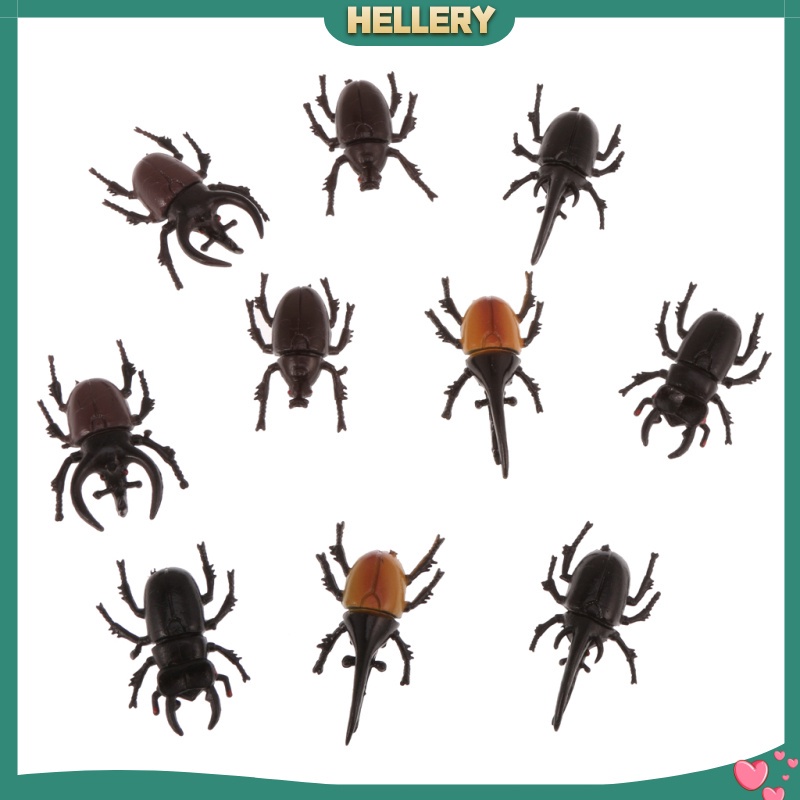 Set 10 Mô Hình Côn Trùng Bằng Nhựa Cho Bé