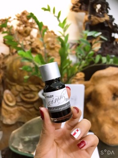 Mực pilot ink Nhật cao cấp 10ml