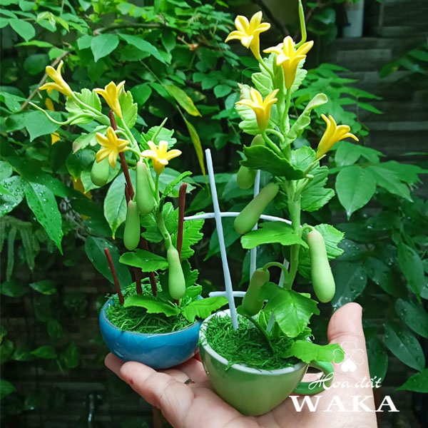 Hoa Đất Sét Mini- Giàn Bầu