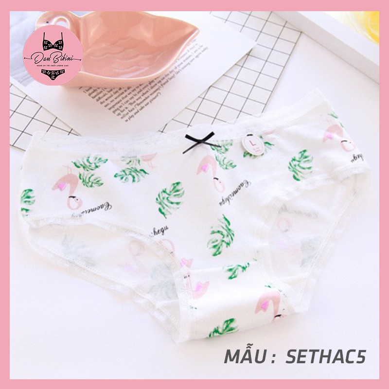Quần Lót Nữ Cotton rẻ đẹp kháng khuẩn dễ thương màu sắc tươi mới trẻ trung mã C087