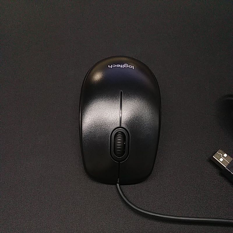 Chuột có dây B100