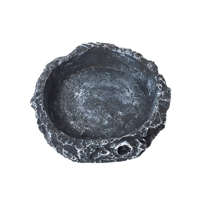 Aoto Bát Đựng Thức Ăn Cho Bò Sát Thằn Lằn Bằng Nhựa Resin