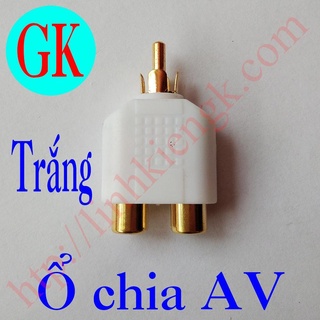 Rắc chia av màu trắng từ 1 ra 2