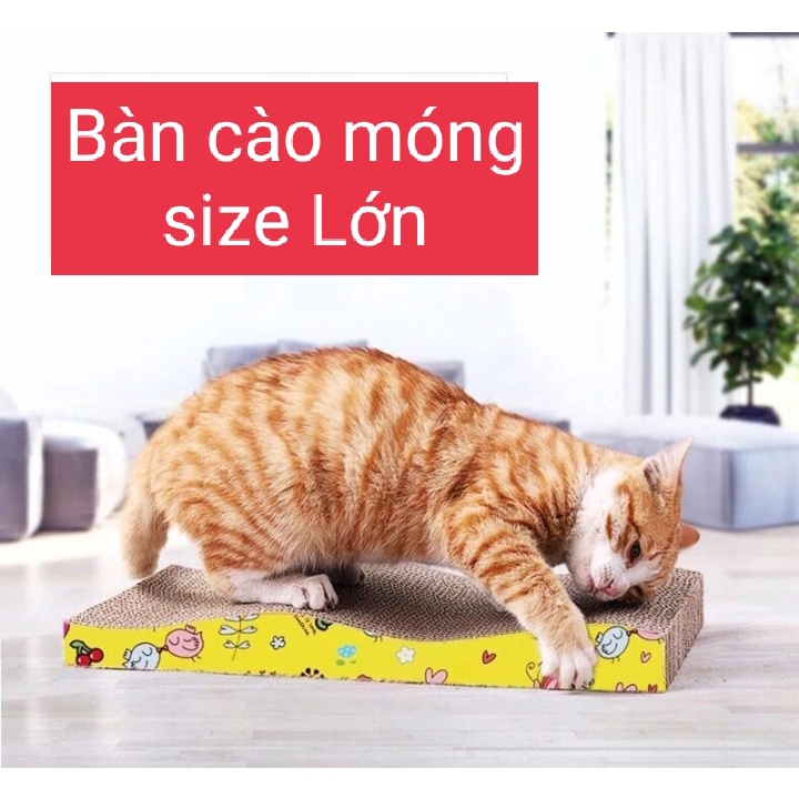*Hoả tốc* (SIZE TO) BÀN CÀO MÓNG CHO MÈO HÌNH GỢN SÓNG. Đồ chơi cho mèo
