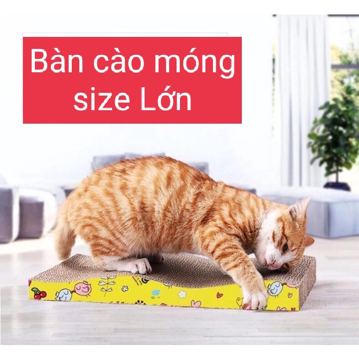 (SIZE TO) BÀN CÀO MÓNG CHO MÈO HÌNH GỢN SÓNG CÓ TẶNG KÈM GÒI CỎ MÈO