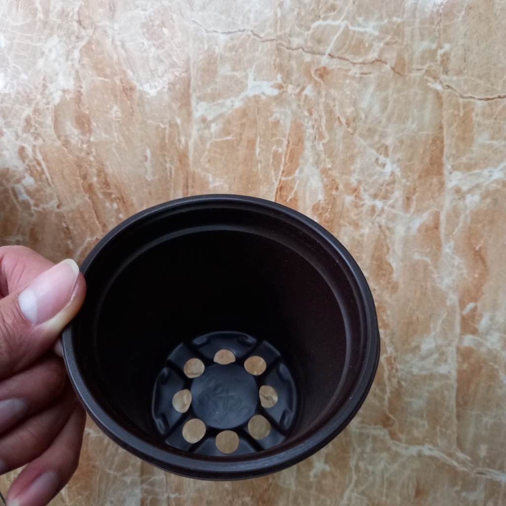 chậu nhựa ươm cây đường kính 10cm và đường kính 14,5cm