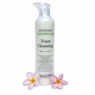 [Chính Hãng] Sữa rửa Es Sữa rửa mặt tạo bọt ESTESOPHY Hàn Quốc, chai lớn 500ml