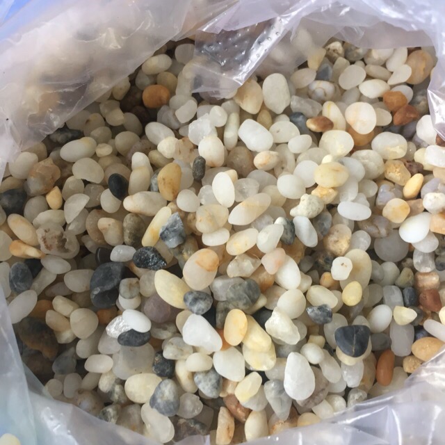 Sỏi biển(600g)