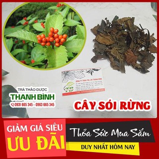 Combo 2Kg Cây Sói Rừng - Loại 1 Hàng Sấy Khô