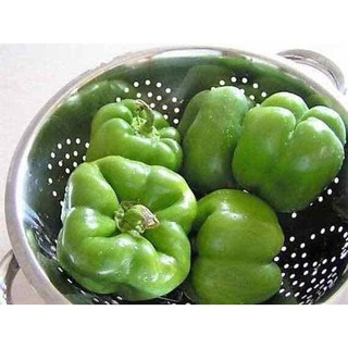 Hạt ớt ngọt ớt chuông - gói 1 gram