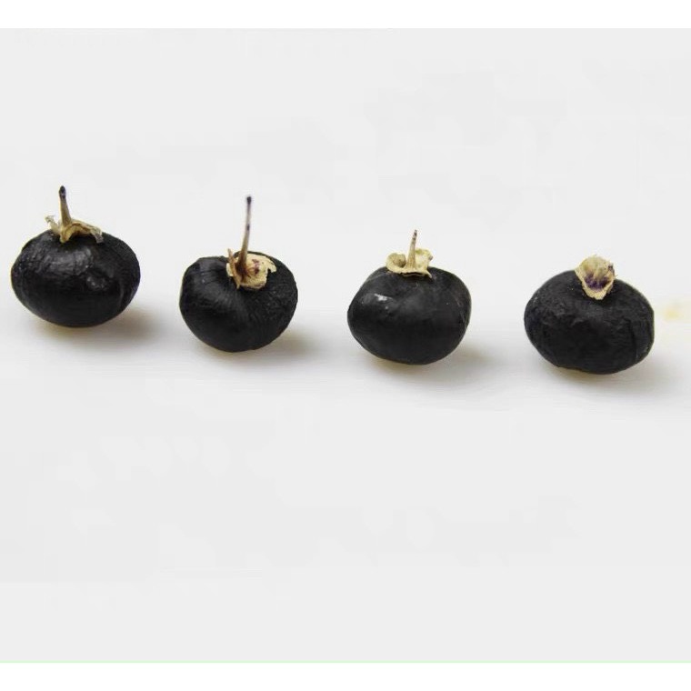 Hắc kỷ tử cao cấp pha trà siêu ngon cho bạn làn da trẻ trung khỏe mạnh và nhiều chất dinh dưỡng 250g