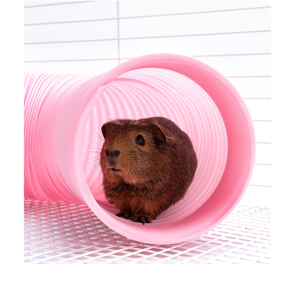 ống chui nhựa cho hamster-sóc - dumbo- thỏ - bọ- fat tail- rat