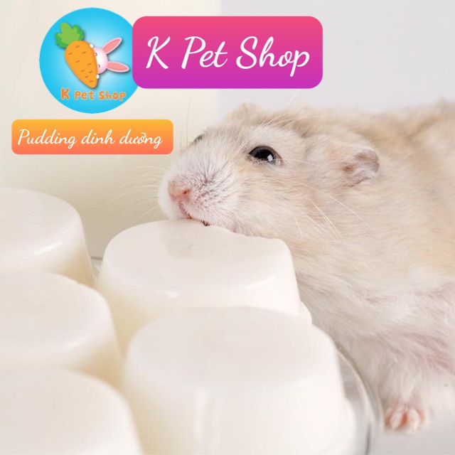 Pudding Sữa Dê Vỗ Béo  FREESHIP Hủ Nguyên 10 viên Pudding Goat Milk Ăn Dặm Hamster