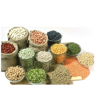 1 kg Bột ngũ cốc 11 loại đậu (nhà làm)