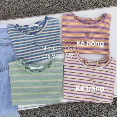 Áo thun kẻ bèo cổ tim ngực A062101 | BigBuy360 - bigbuy360.vn