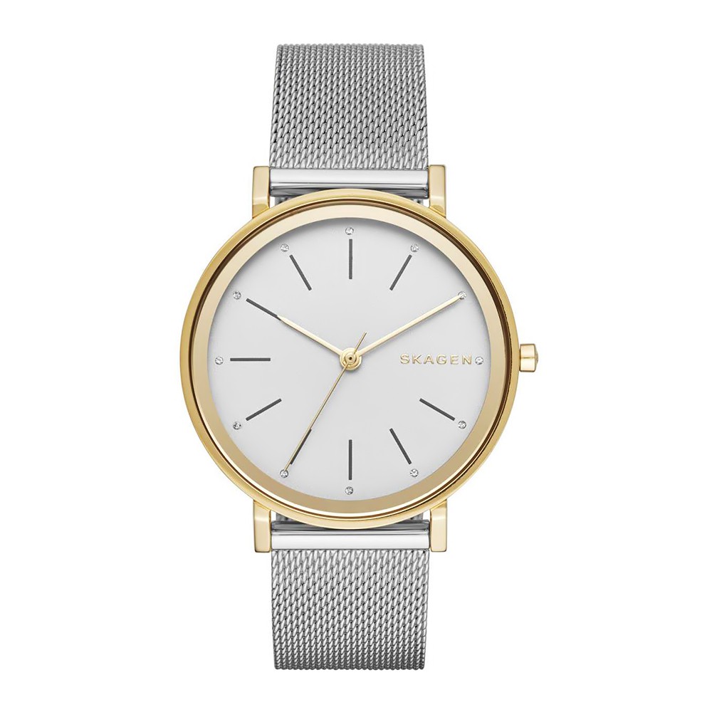 Đồng Hồ Nữ Skagen Dây Lưới Bạc SKW2508 34mm Chính Hãng