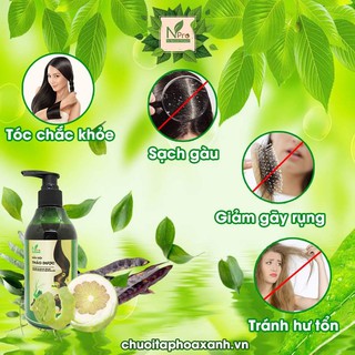 Dầu Gội Thảo Dược - 300ml