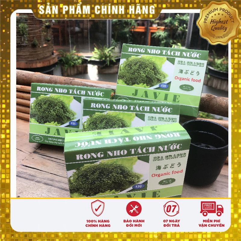 Sỉ 10 Hộp [120gr/ 4 gói/ hộp] Rong biển JAVIE tặng 20 gói sốt siêu hấp dẫn. rong nho. rong biển khô