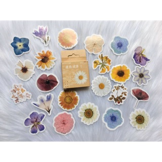 Hộp 40-45 Sticker Hoa Cúc Floral - Hình Dán Hoa Daisy Trang Trí Sổ Bullet Journal