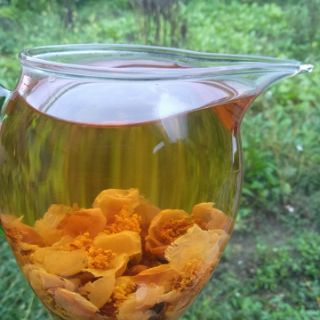 Hoa trà cổ thụ khô (500g)