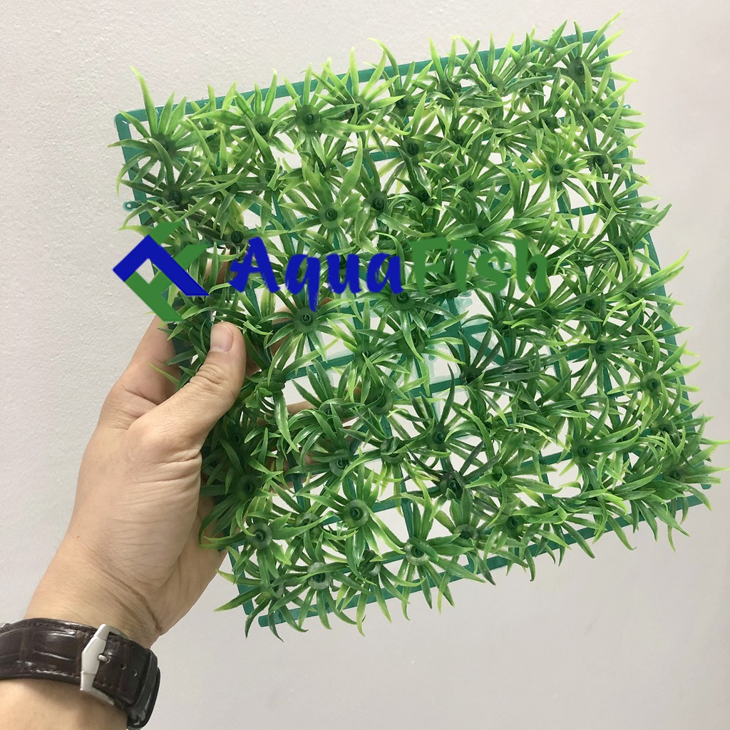 Bộ Trang Trí 2 Tấm Thảm Cỏ Thìa Bằng Nhựa Cho Bể Cá Thủy Sinh